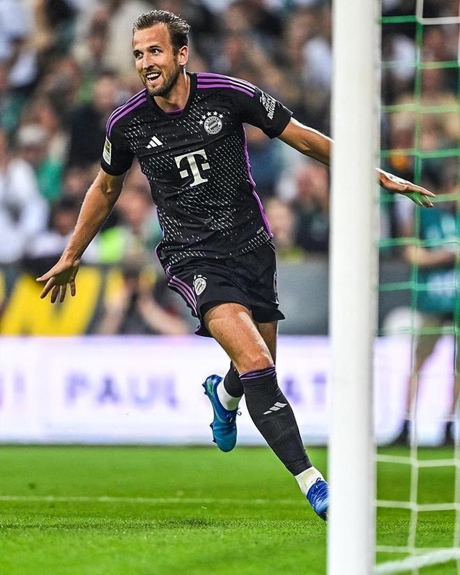 仅提高了进 仅提高了进