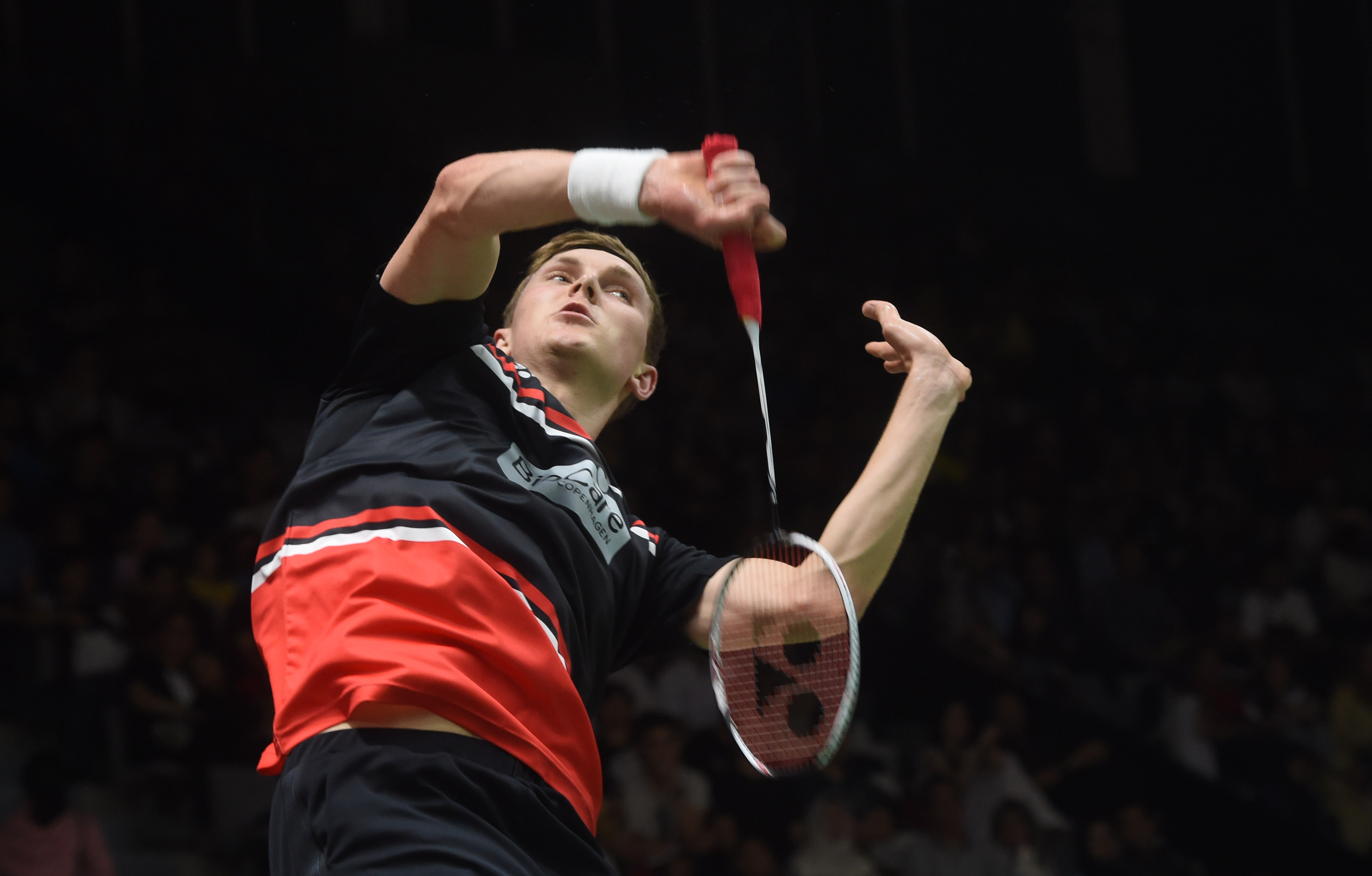 充满活力的 充满活力的