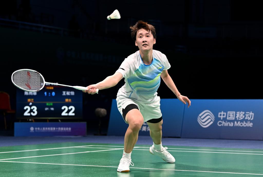 球迷的目光 球迷的目光