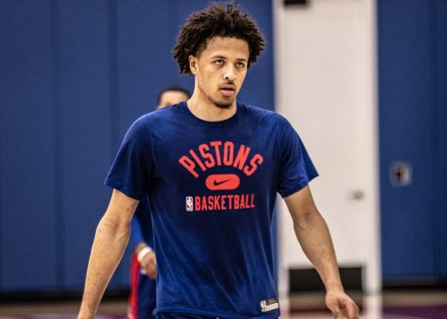 多点开花的 多点开花的