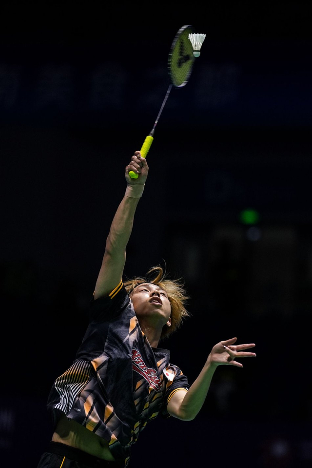 细致的分析 细致的分析