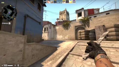 竞生态的一 竞生态的一